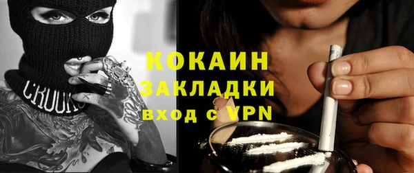 прущие грибы Абаза