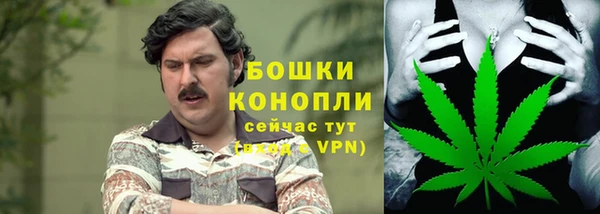 круглые Гусев