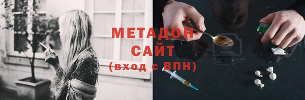 прущие грибы Абаза