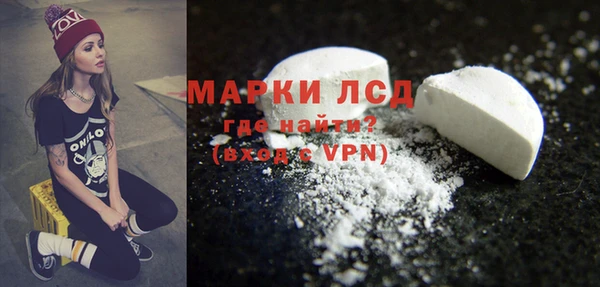 прущие грибы Абаза